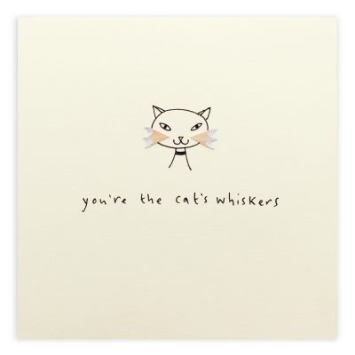 Cat's Whiskers Pencil Shavings Card Design by Ruth Jackson